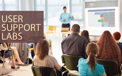 User Support Labs Offer End Users Step-by-Step Assistance